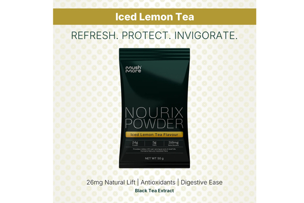 Free Mushmore Protein Powder