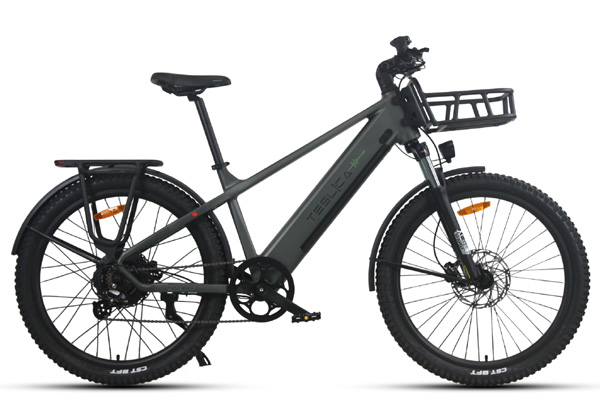 Win a Teslica E-Bike
